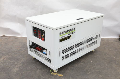 張家口高原特供 TOTO25汽油發電機在特殊環境下的機電產品應用